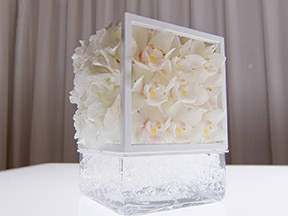 Display & Decoration