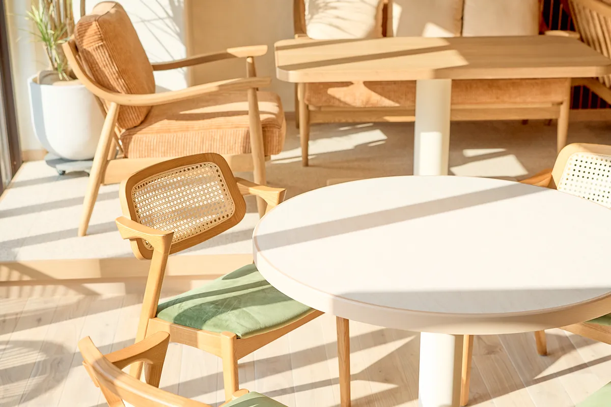 太陽が差し込む店内